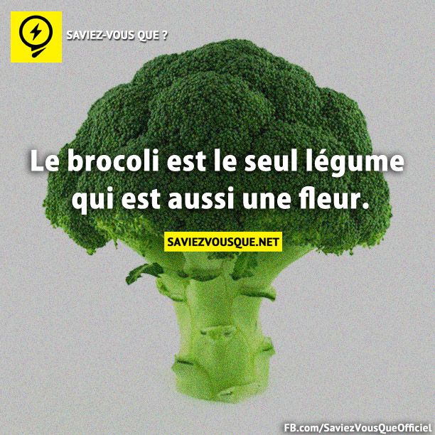 Le brocoli est le seul légume qui est aussi une fleur.