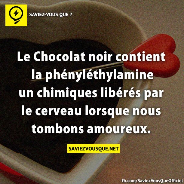 Le Chocolat noir contient la phényléthylamine un chimiques libérés par le cerveau lorsque nous tombons amoureux.