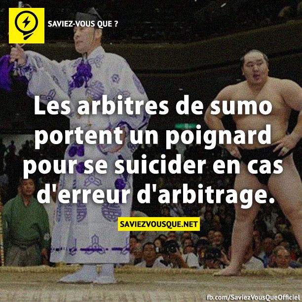Les arbitres de sumo portent un poignard pour se suicider en cas d&#039;erreur d&#039;arbitrage.