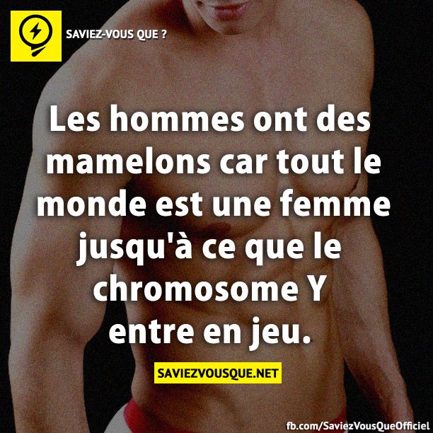 Les hommes ont des mamelons car tout le monde est une femme jusqu&#039;à ce que le chromosome Y entre en jeu.