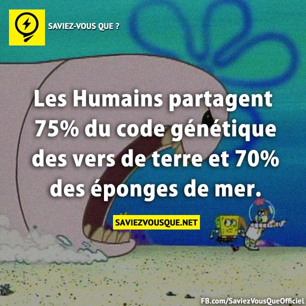 Les Humains partagent 75% du code génétique des vers de terre et 70% des éponges de mer.