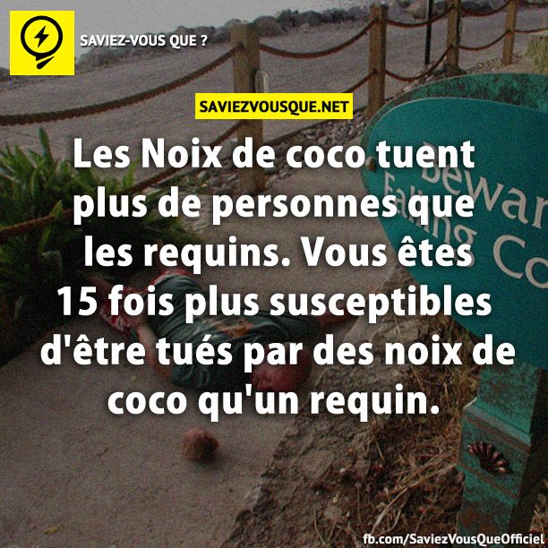 Les Noix de coco tuent plus de personnes que les requins. Vous êtes 15 fois plus susceptibles d&#039;être tués par des noix de coco qu&#039;un requin.
