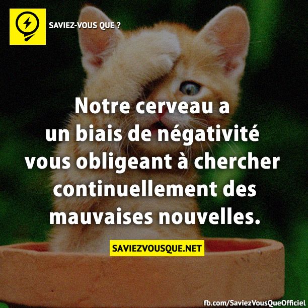 Notre cerveau a un biais de négativité vous obligeant à chercher continuellement des mauvaises nouvelles.