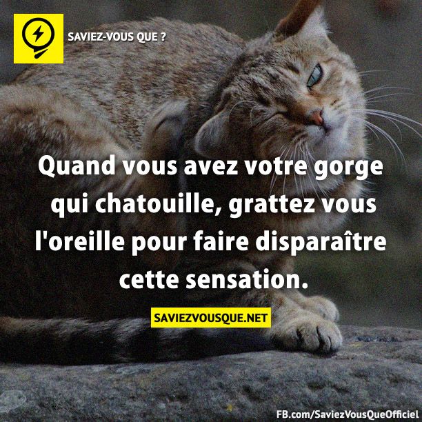 Quand vous avez votre gorge qui chatouille, grattez vous l&#039;oreille pour faire disparaître cette sensation.