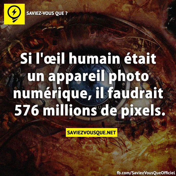 Si l&#039;œil humain était un appareil photo numérique, il faudrait 576 millions de pixels.