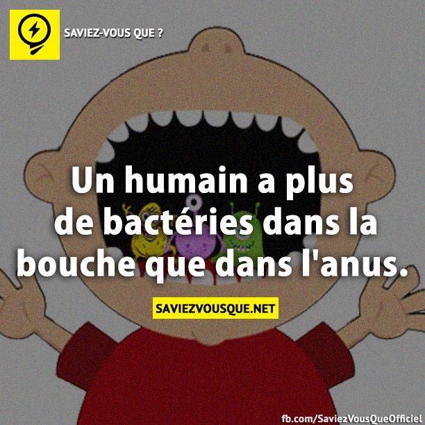 Un humain a plus de bactéries dans la bouche que dans l&#039;anus.