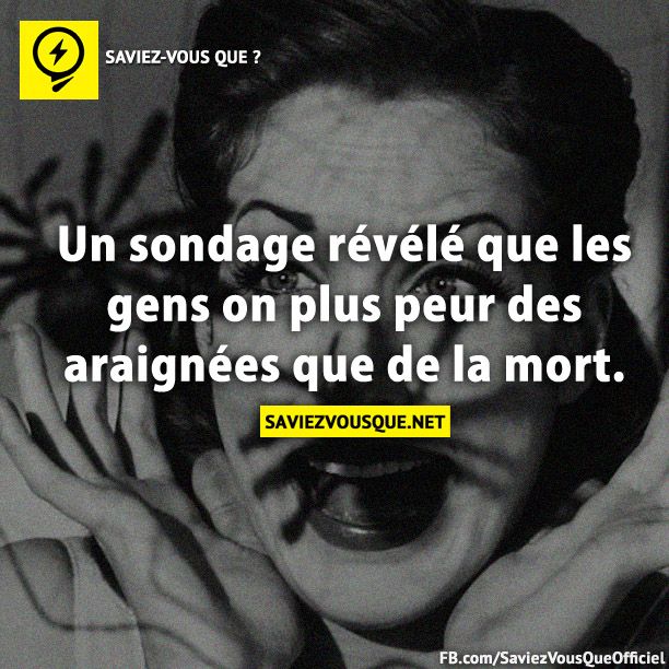 Un sondage révélé que les gens on plus peur des araignées que de la mort.