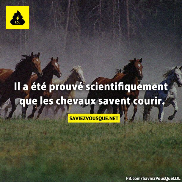 Il a été prouvé scientifiquement que les chevaux savent courir.