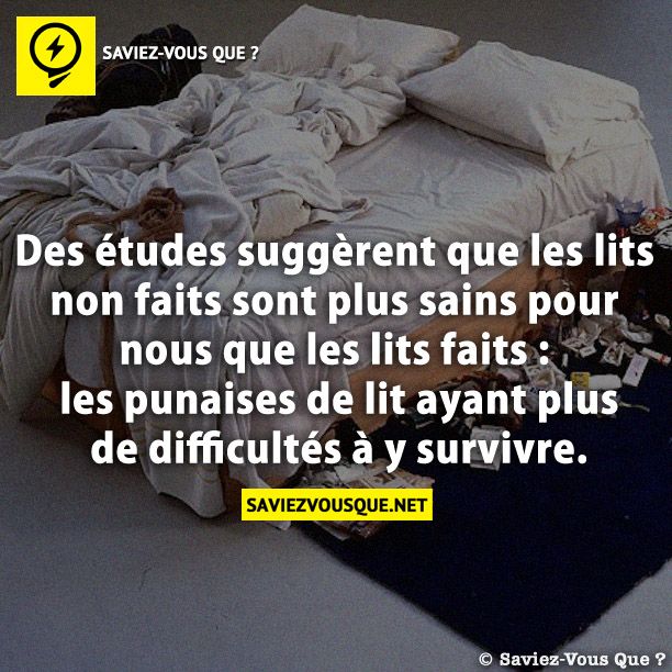 Des études suggèrent que les lits non faits sont plus sains pour nous que les lits faits : les punaises de lit ayant plus de difficultés à y survivre.