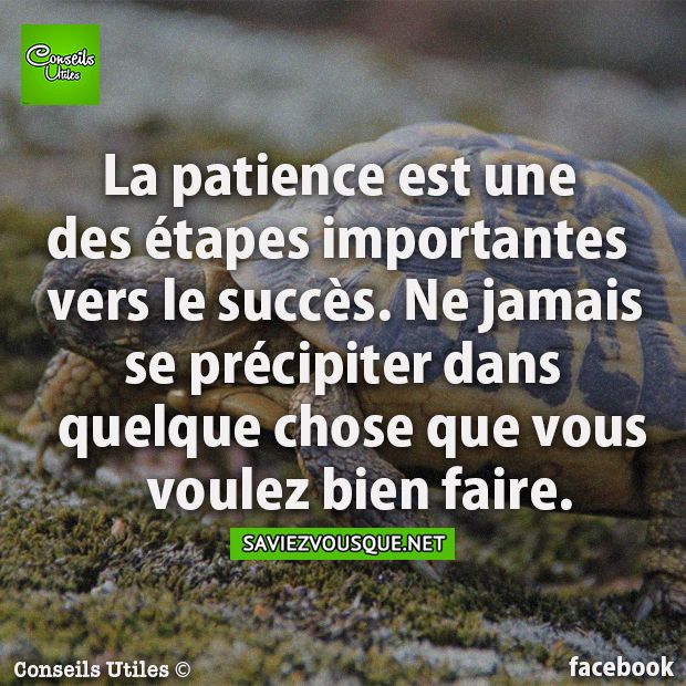 La patience est une des étapes importantes vers le succès. Ne jamais se précipiter dans quelque chose que vous voulez bien faire.