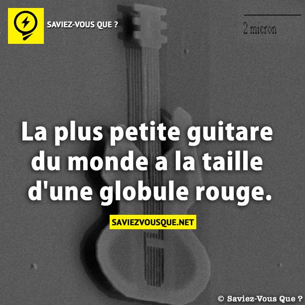 La plus petite guitare du monde a la taille d&#039;une globule rouge.