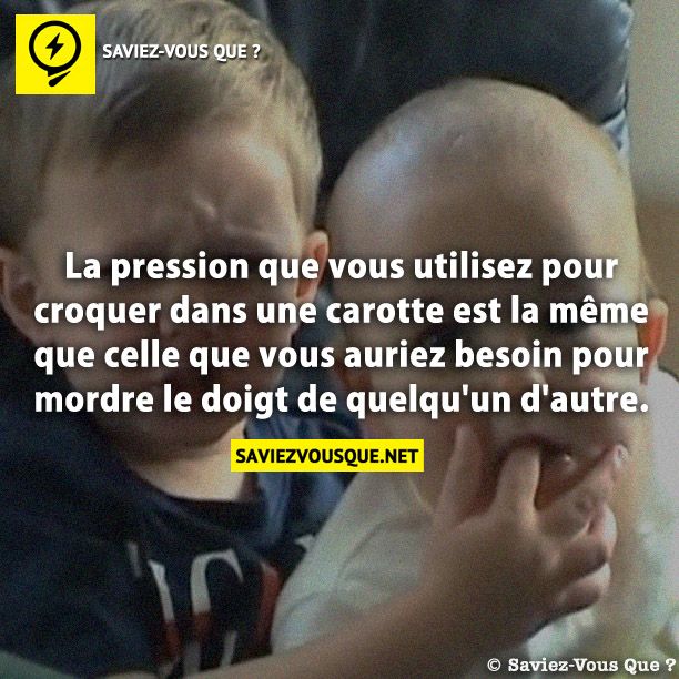 La pression que vous utilisez pour croquer dans une carotte est la même que celle que vous auriez besoin pour mordre le doigt de quelqu&#039;un d&#039;autre.