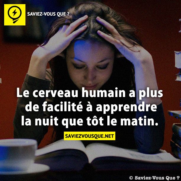 Le cerveau humain a plus de facilité à apprendre la nuit que tôt le matin.