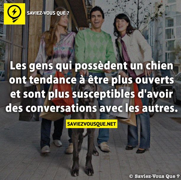 Les gens qui possèdent un chien ont tendance à être plus ouverts et sont plus susceptibles d&#039;avoir des conversations avec les autres.