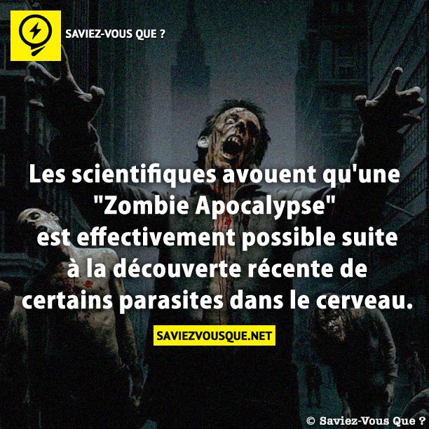 Les scientifiques avouent qu&#039;une &quot;Zombie Apocalypse&quot; est effectivement possible suite à la découverte récente de certains parasites dans le cerveau .