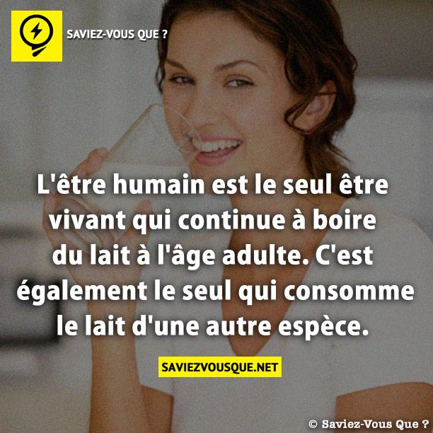 L&#039;être humain est le seul être vivant qui continue à boire du lait à l&#039;âge adulte. C&#039;est également le seul qui consomme le lait d&#039;une autre espèce.