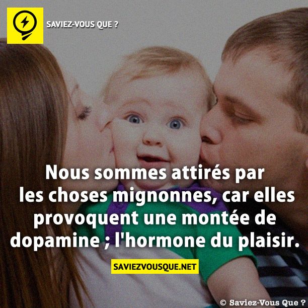 Nous sommes attirés par les choses mignonnes, car elles provoquent une montée de dopamine ; l&#039;hormone du plaisir.
