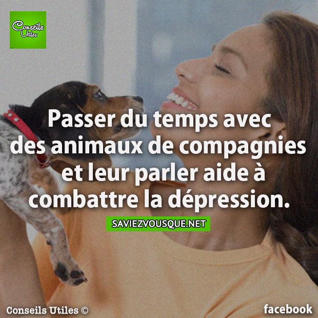 Passer du temps avec des animaux de compagnies et leur parler aide à combattre la dépression.