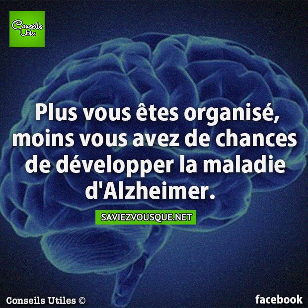 Plus vous êtes organisé, moins vous avez de chances de développer la maladie d&#039;Alzheimer.