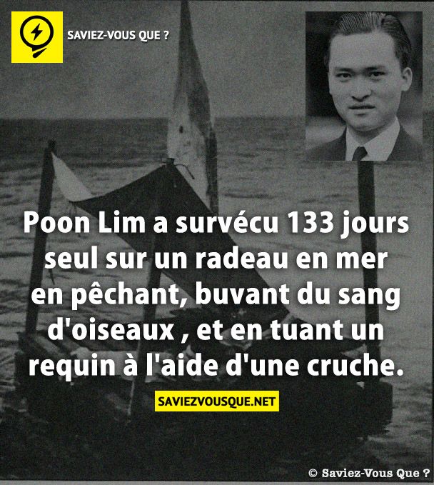 Poon Lim a survécu 133 jours seul sur un radeau en mer en pêchant, buvant du sang d&#039;oiseaux , et en tuant un requin à l&#039;aide d&#039;une cruche.