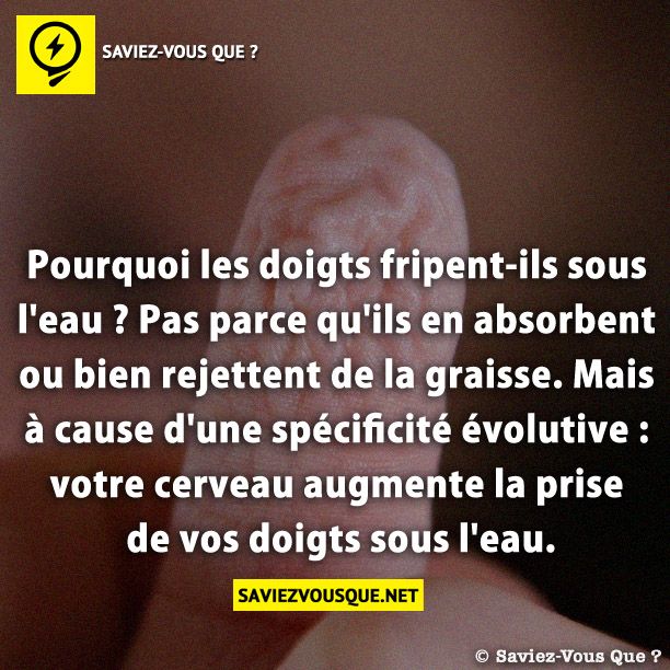 Pourquoi les doigts fripent-ils sous l&#039;eau ? Pas parce qu&#039;ils en absorbent ou bien rejettent de la graisse. Mais à cause d&#039;une spécificité évolutive : votre cerveau augmente la prise de vos doigts sous l&#039;eau.