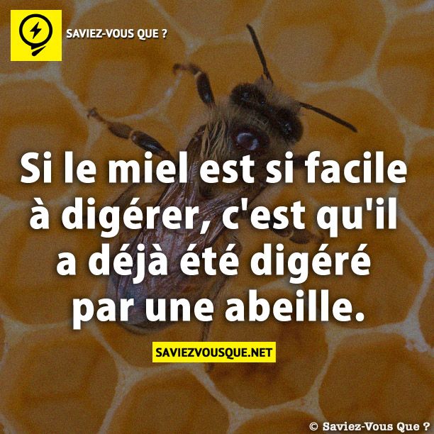 Si le miel est si facile à digérer, c&#039;est qu&#039;il a déjà été digéré par une abeille.