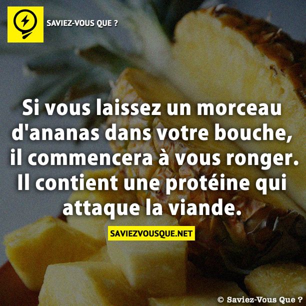 Si vous laissez un morceau d&#039;ananas dans votre bouche, il commencera à vous ronger. Il contient une protéine qui attaque la viande.