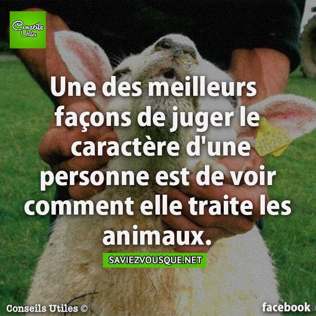 Une des meilleurs façons de juger le caractère d&#039;une personne est de voir comment elle traite les animaux.