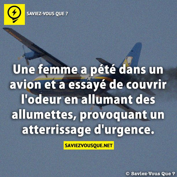 Une femme a pété dans un avion et a essayé de couvrir l&#039;odeur en allumant des allumettes, provoquant un atterrissage d&#039;urgence.