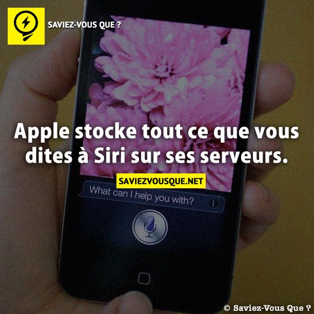 Apple stocke tout ce que vous dites à Siri sur ses serveurs.