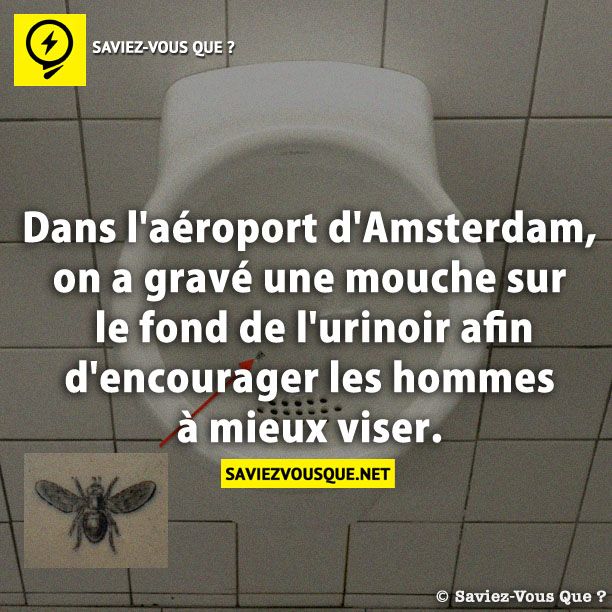 Dans l&#039;aéroport d&#039;Amsterdam, on a gravé une mouche sur le fond de l&#039;urinoir afin d&#039;encourager les hommes à mieux viser.
