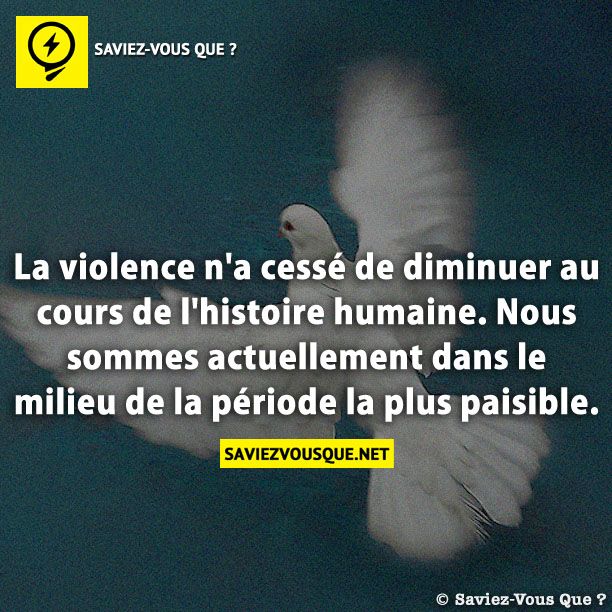 La violence n&#039;a cessé de diminuer au cours de l&#039;histoire humaine. Nous sommes actuellement dans le milieu de la période la plus paisible.