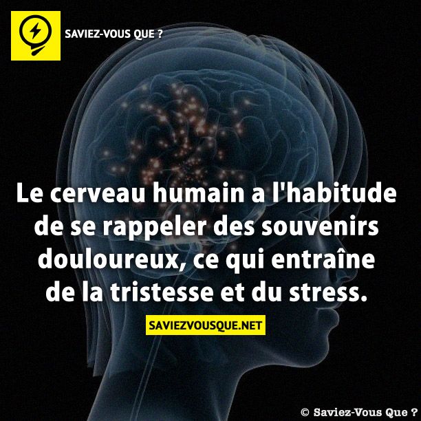 Le cerveau humain a l&#039;habitude de se rappeler des souvenirs douloureux, ce qui entraîne de la tristesse et du stress.
