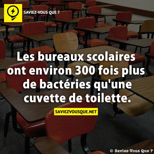 Les bureaux scolaires ont environ 300 fois plus de bactéries qu&#039;une cuvette de toilette.