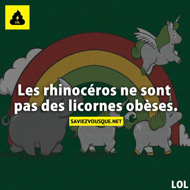 Les rhinocéros ne sont pas des licornes obèses.