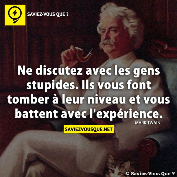 Ne discutez avec les gens stupides. Ils vous font tomber à leur niveau et vous battent avec l&#039;expérience.
