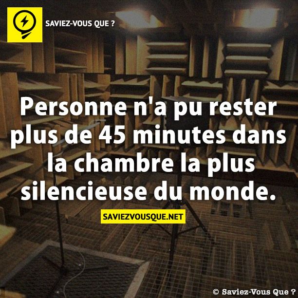 Personne n&#039;a pu rester plus de 45 minutes dans la chambre la plus silencieuse du monde.