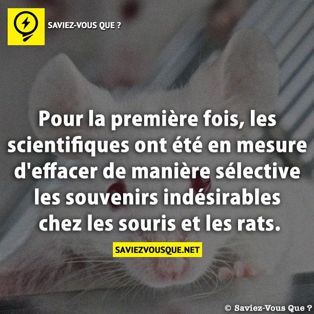 Pour la première fois, les scientifiques ont été en mesure d&#039;effacer de manière sélective les souvenirs indésirables chez les souris et les rats.
