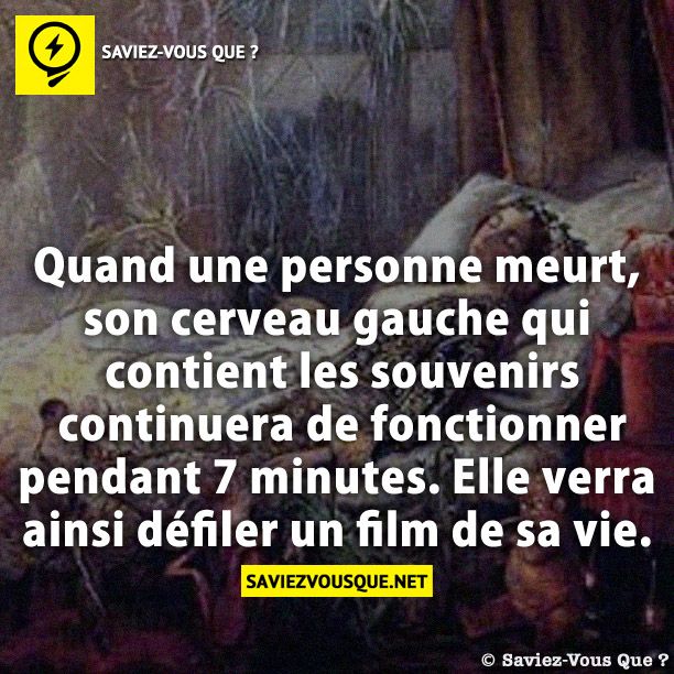 Quand une personne meurt, son cerveau gauche qui contient les souvenirs continuera de fonctionner pendant 7 minutes. Elle verra ainsi défiler un film de sa vie.
