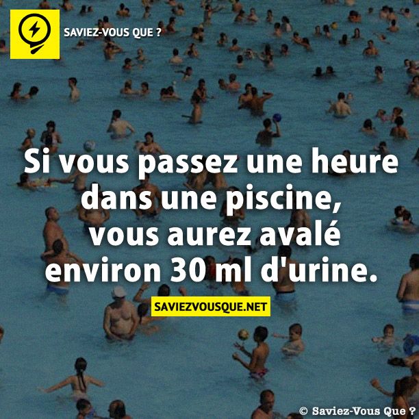 Si vous passez une heure dans une piscine, vous aurez avalé environ 30 ml d&#039;urine.