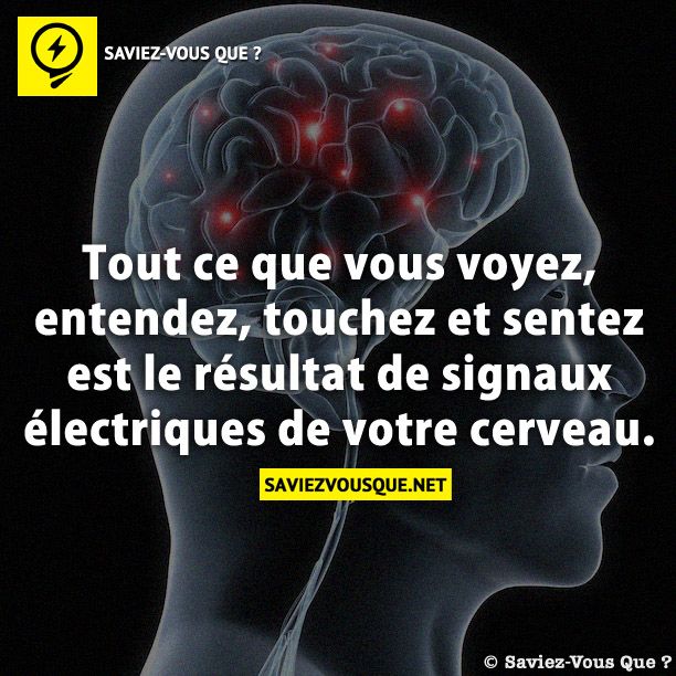 Tout ce que vous voyez, entendez, touchez et sentez est le résultat de signaux électriques de votre cerveau.