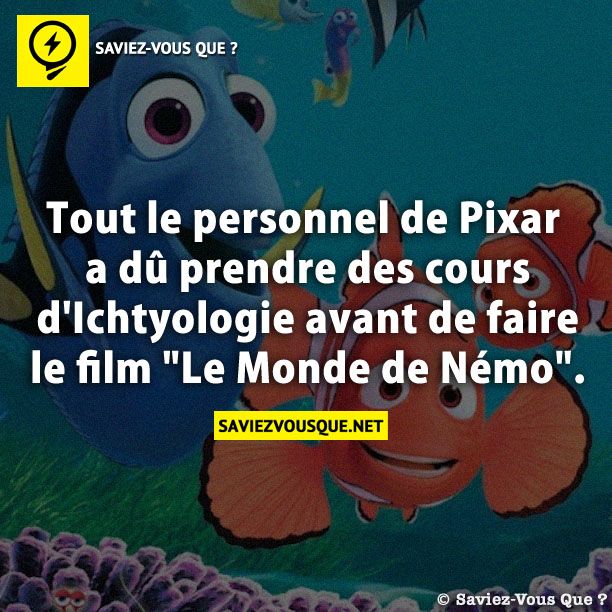 Tout le personnel de Pixar a dû prendre des cours d&#039;Ichtyologie avant de faire le film &quot;Le Monde de Némo&quot;.