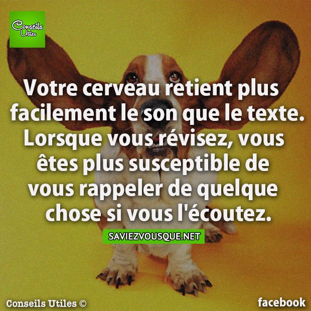 Votre cerveau retient plus facilement le son que le texte. Lorsque vous révisez, vous êtes plus susceptible de vous rappeler de quelque chose si vous l&#039;écoutez.