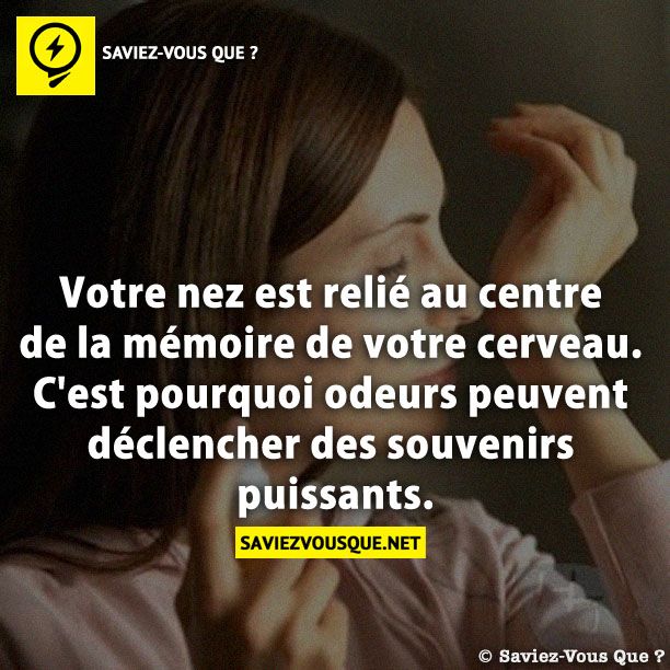 Votre nez est relié au centre de la mémoire de votre cerveau. C&#039;est pourquoi odeurs peuvent déclencher des souvenirs puissants.