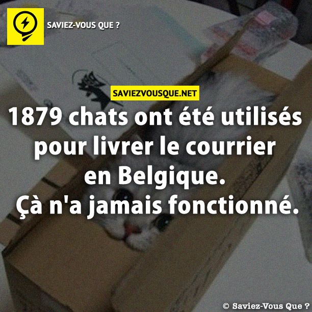 1879 chats ont été utilisés pour livrer le courrier en Belgique. Çà n&#039;a jamais fonctionné.