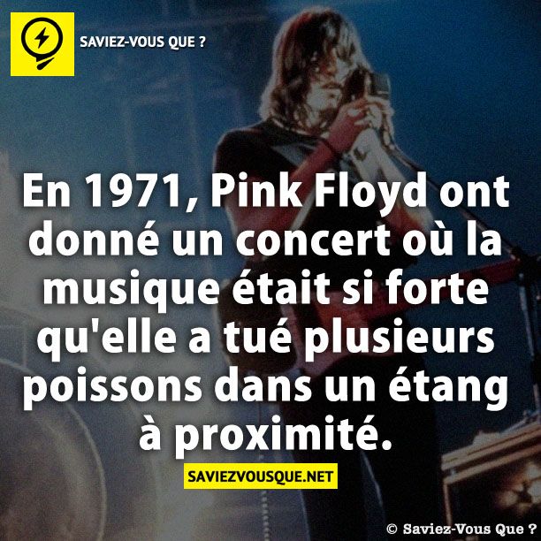 En 1971, Pink Floyd ont donné un concert où la musique était si forte qu&#039;elle a tué plusieurs poissons dans un étang à proximité.