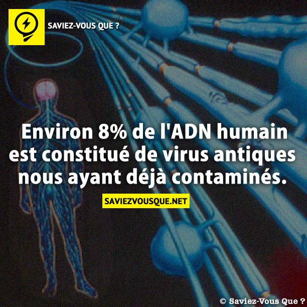 Environ 8% de l&#039;ADN humain est constitué de virus antiques nous ayant déjà contaminés.
