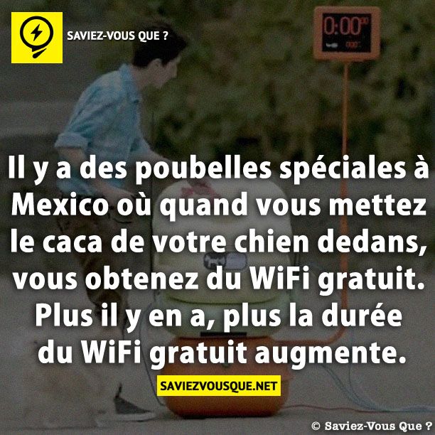 Il y a des poubelles spéciales à Mexico où quand vous mettez le caca de votre chien dedans, vous obtenez du WiFi gratuit. Plus il y en a, plus la durée du WiFi gratuit augmente.