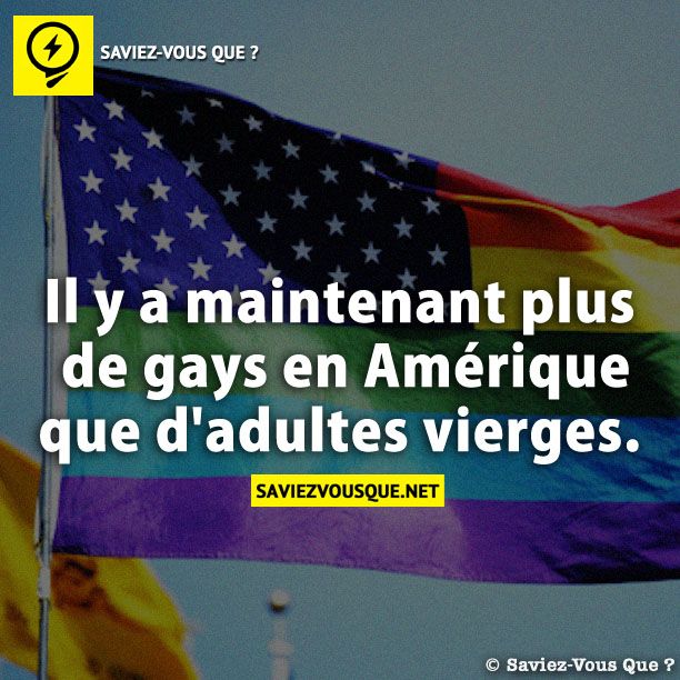 Il y a maintenant plus de gays en Amérique que d&#039;adultes vierges.