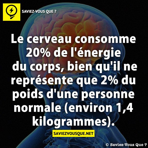 Le cerveau consomme 20% de l&#039;énergie du corps, bien qu&#039;il ne représente que 2% du poids d&#039;une personne normale (environ 1,4 kilogrammes).
